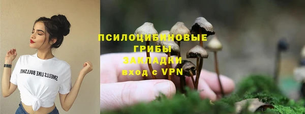 хмурый Козловка