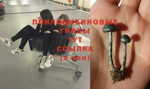 MESCALINE Коряжма