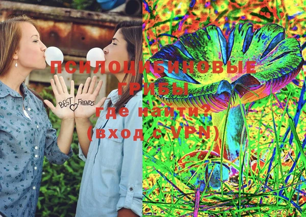 хмурый Козловка