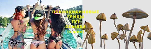 хмурый Козловка