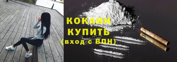 хмурый Козловка