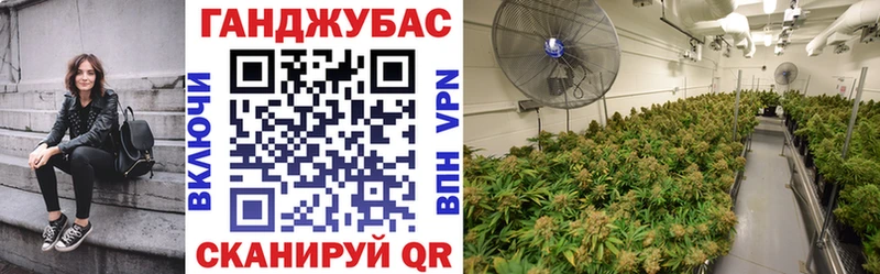 где найти   Эртиль  omg ТОР  Шишки марихуана план 